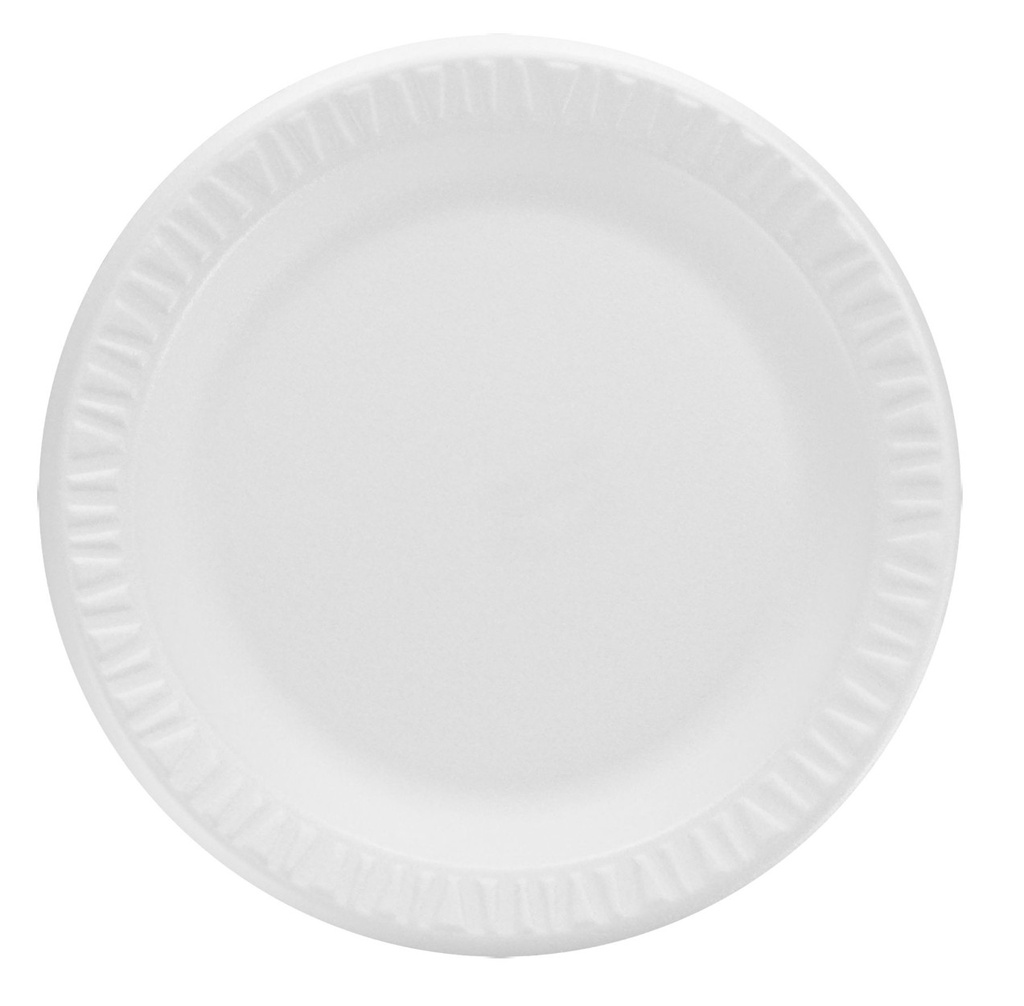 9" Foam Plates - 500ct