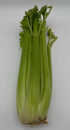 Celery - Case