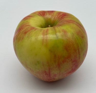 Apple - Honeycrisp - EACH