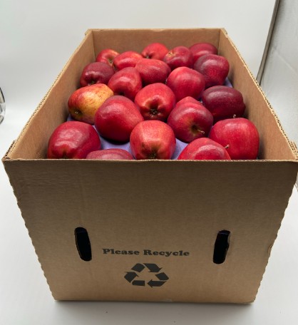 Red Delicious Apples - 40lb Case