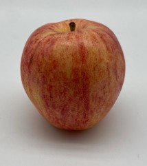 Gala Apples - EACH