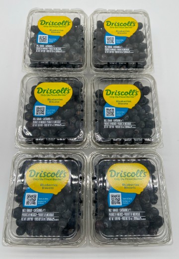 Fresh Blueberries - 6 pints