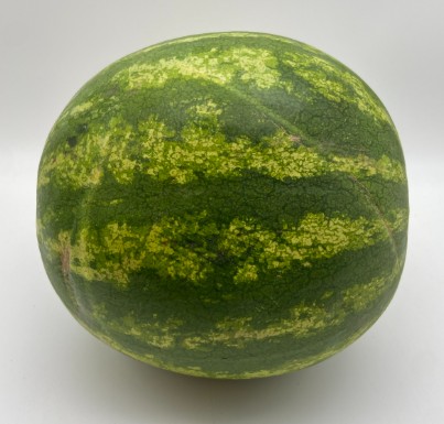 Seedless Watermelon - 1/Ea