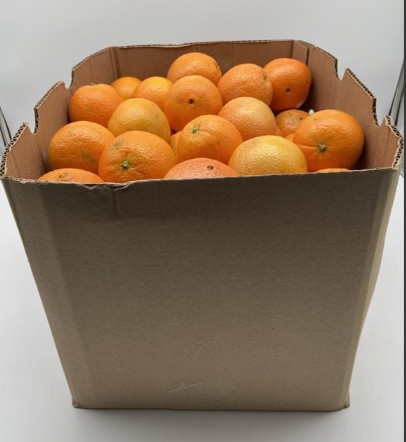 Oranges - 88cnt Case