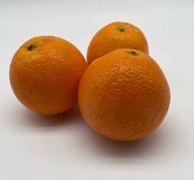Orange - Choice - /lb