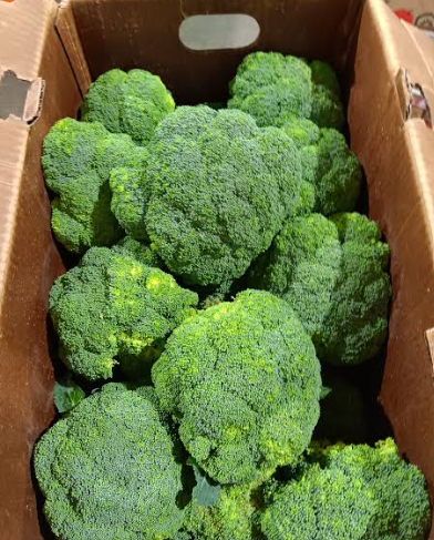 Broccoli Crowns - ~20lb Case