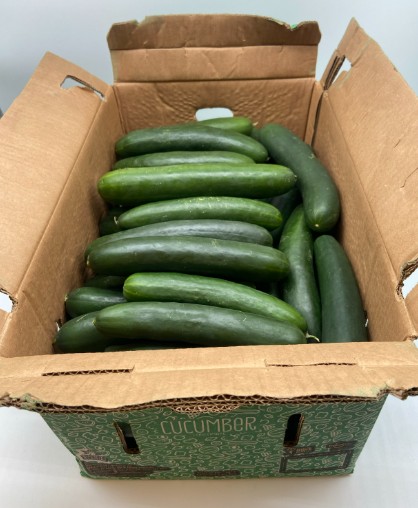 Cucumber - ~45lb Case