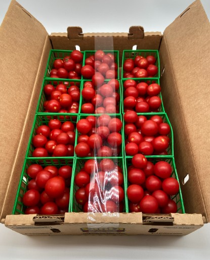 Tomato - Cherry - 12pt flat