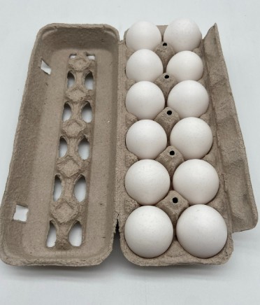 Eggs - Large - Carton - 1dz