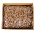 WG Penne Pasta - 20lb