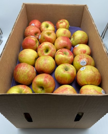 [0040] Honeycrisp Apples - 40lb Case
