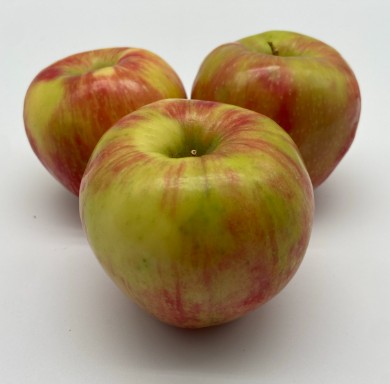 [0040.1] Apple - Honeycrisp - /lb