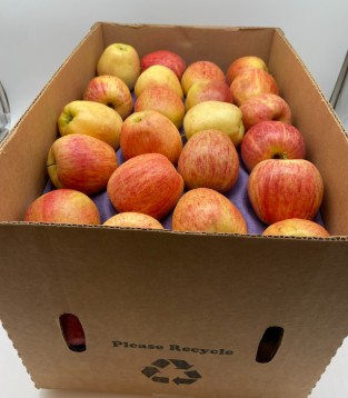 [0042] Apple - Gala - 40lb Case