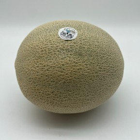 [0150.2] Cantaloupe Melon - EACH