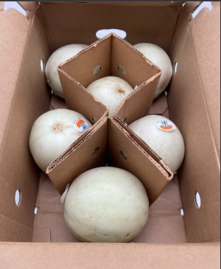 [0160] Honeydew Melon - 5-8ct Case