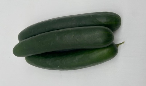 [0445.1] Cucumber -  /lb