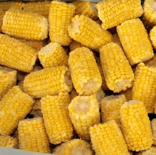 [3545] Frozen Mini Corn Cobs - 96ct