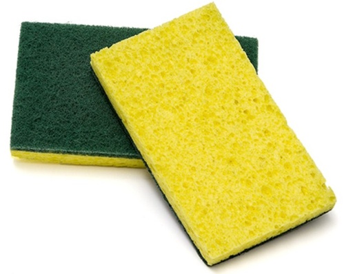 [9569.1] Sponge/Scrubber - EA